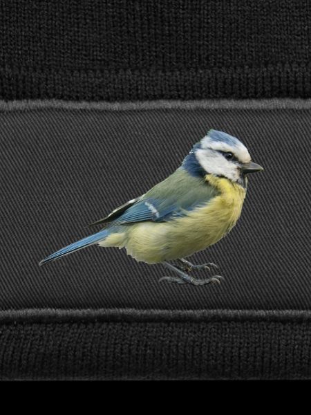 Blue tit 2
