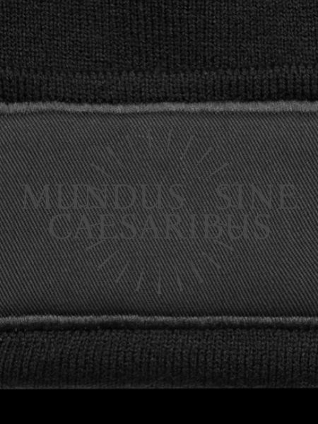 MUNDUS SINE CAESARIBUS