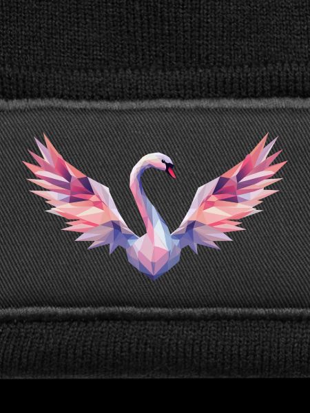 Geometric Swan with Gradient