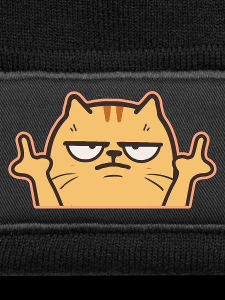 Mittelfinger Katze