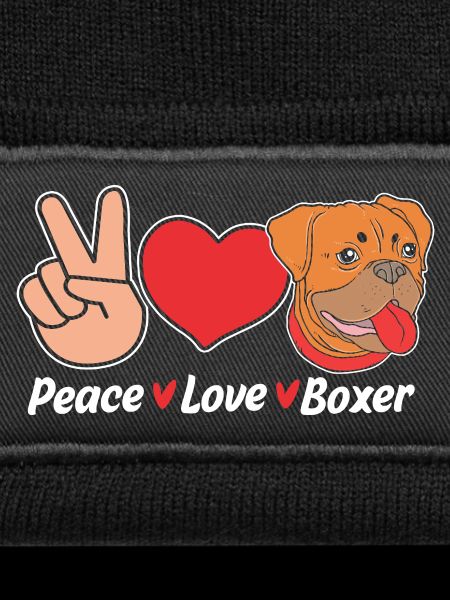 Boxer Hund