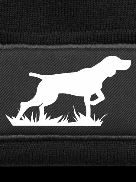 Laufender Hund im Gras