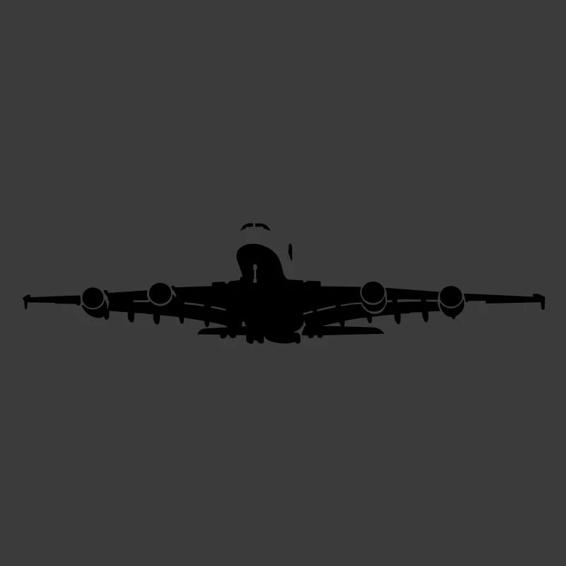 Passagierflugzeug