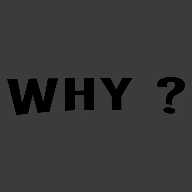Pourquoi est toujours une excellente question.