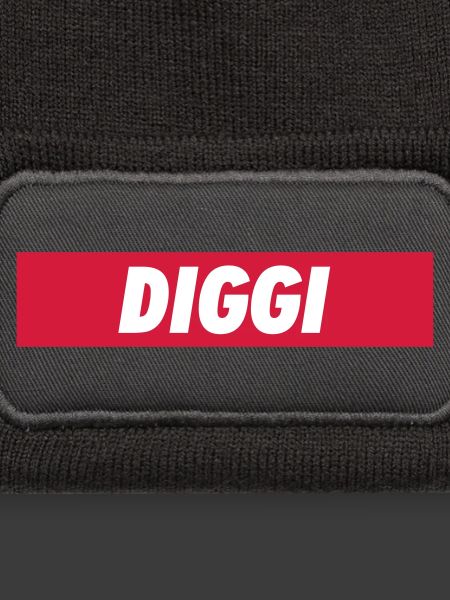 Diggi