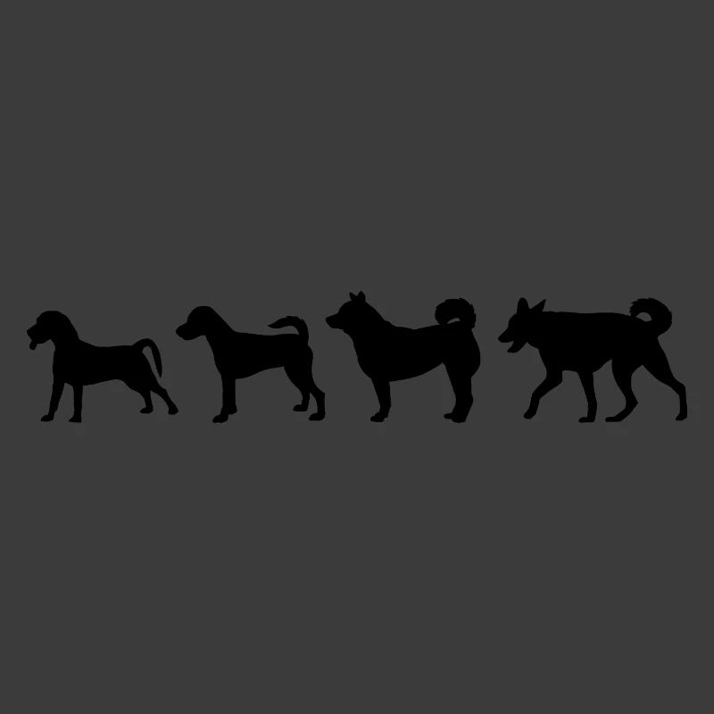 Entwicklung des Hundes