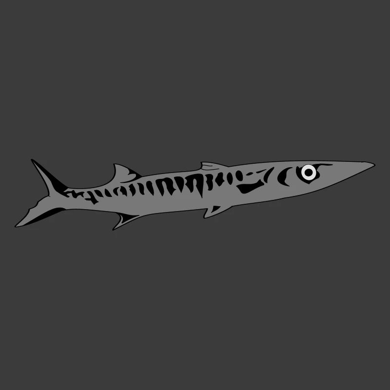 Barracuda