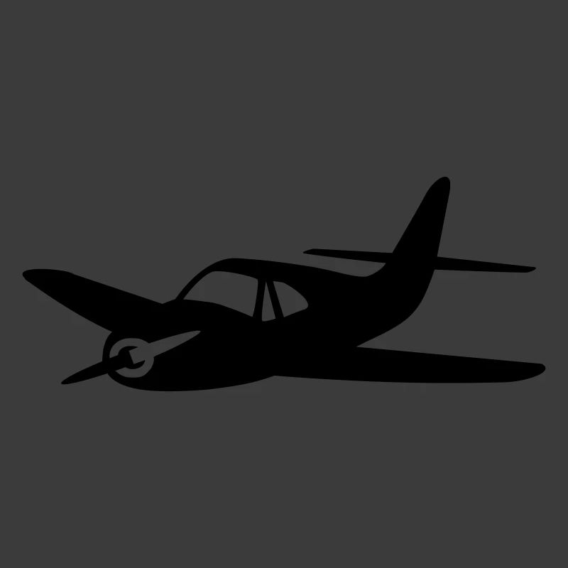 Propellerflugzeug