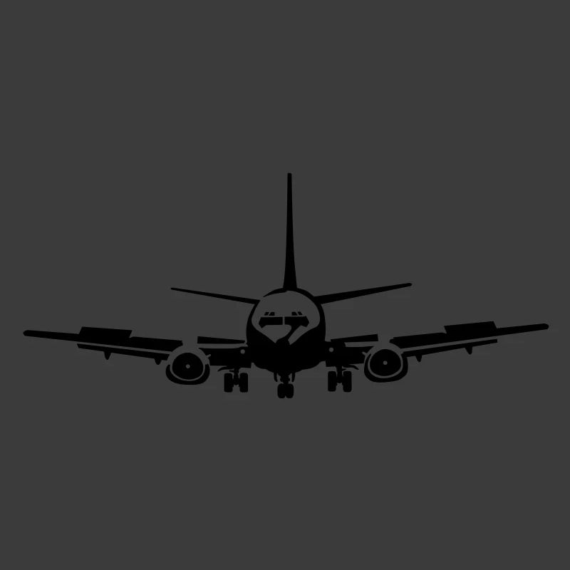 Passagierflugzeug