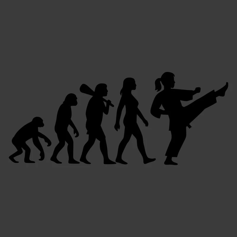 Karate Evolution