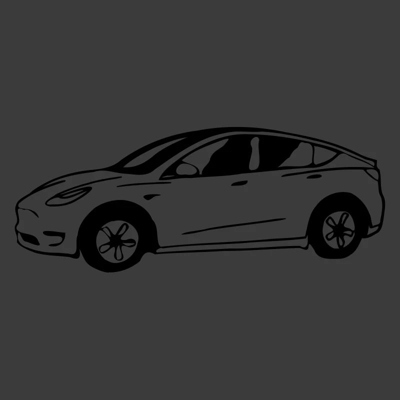 Model Y drawn schematically