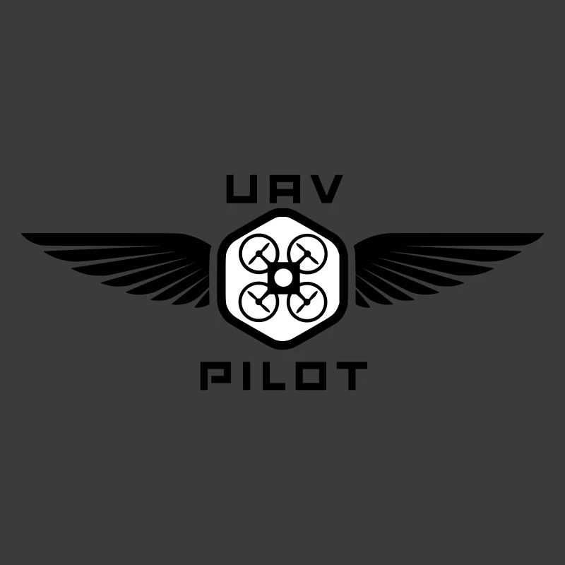 UAV PILOT2