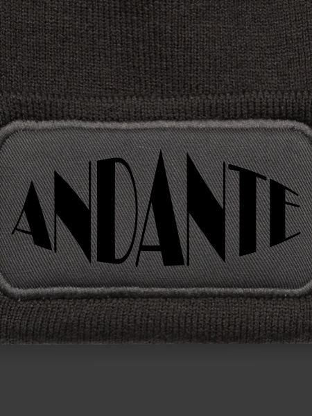 ANDANTE