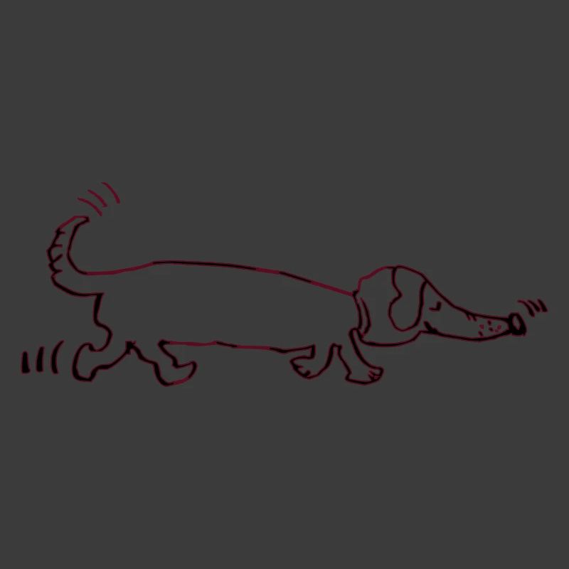 drôle teckel, teckel, chien, teckel
