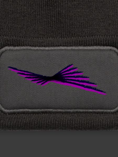 Adler - flying Art