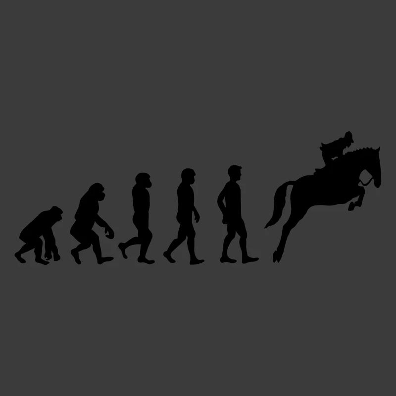 Horse evolution