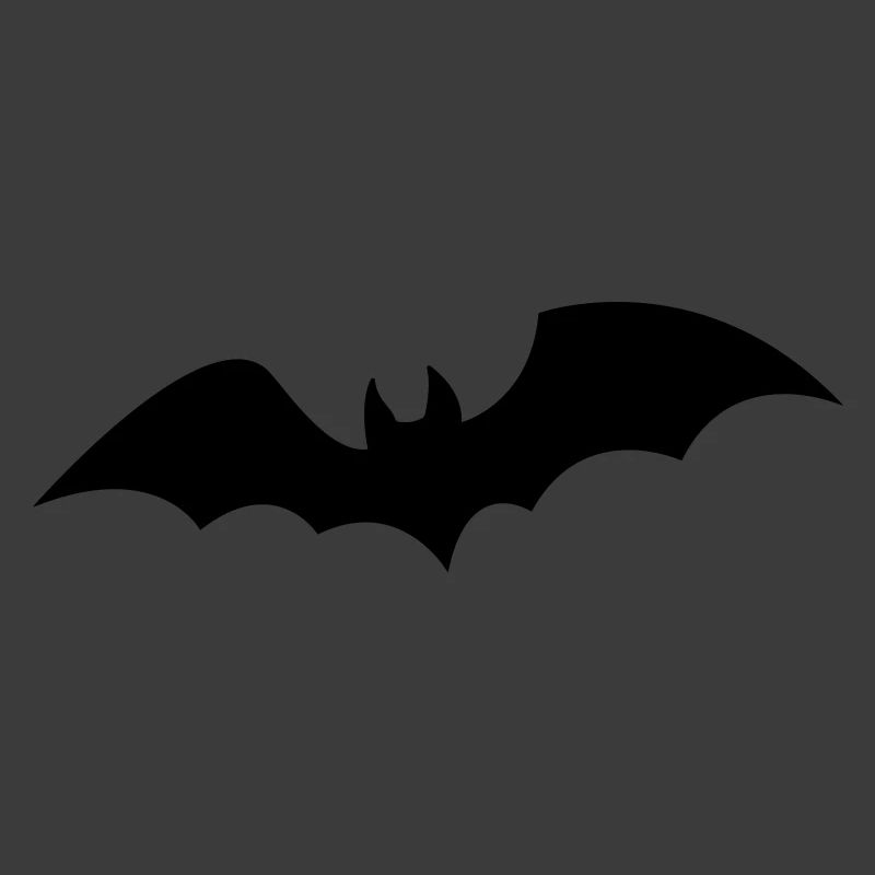 Fledermaus