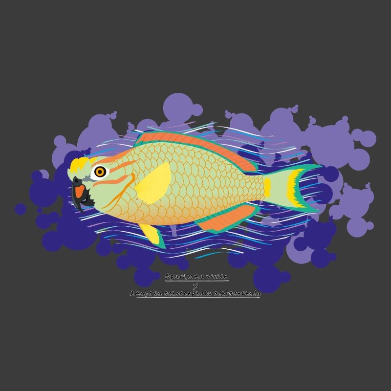 Papageienfisch / Hybride