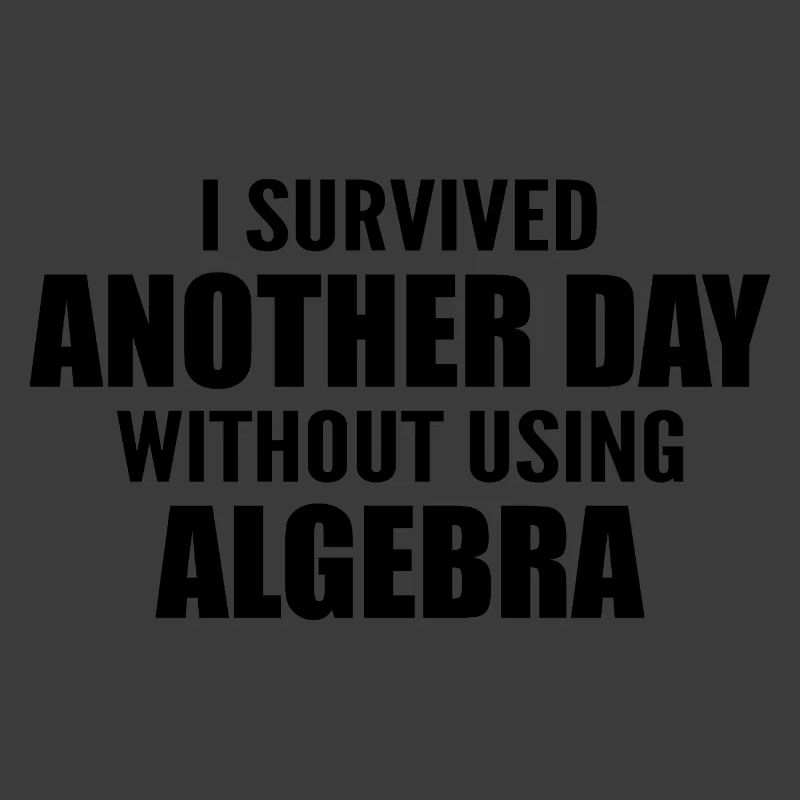 I survived without doing algebra today