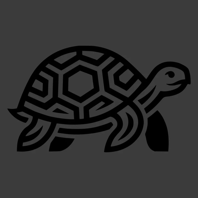 tortue