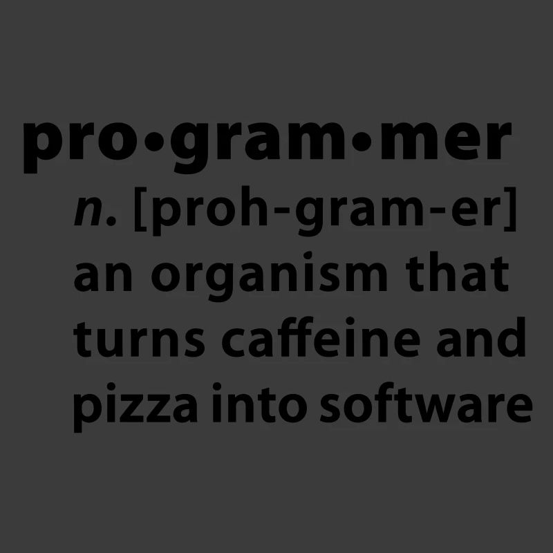 Programmdefinition - die Definition Programmer