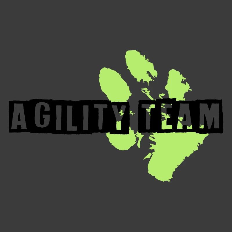 AgilityTeam