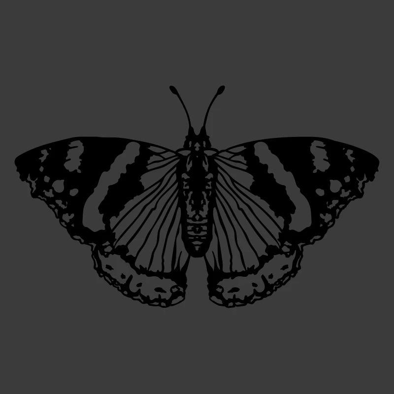 Schmetterling butterfly
