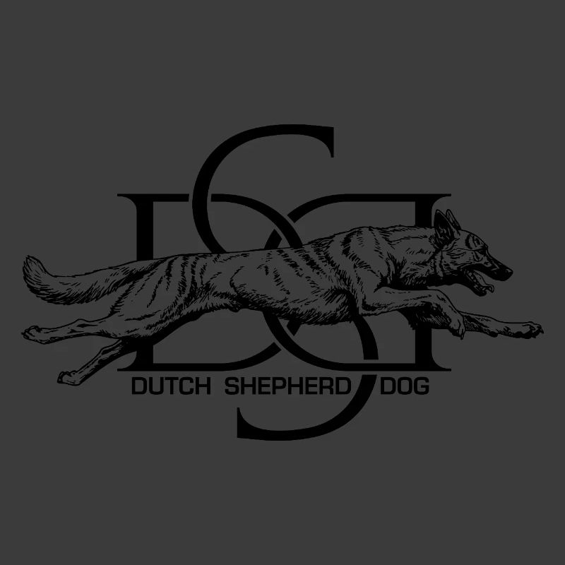 Dutchie - Holländischer Schäferhund