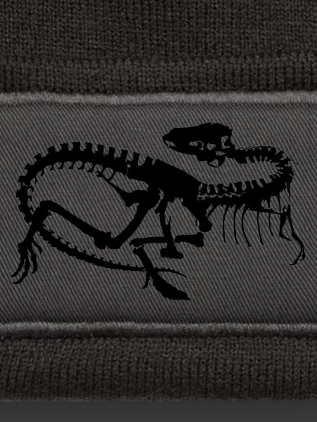 Dinosaurier Skelett Silhouette (1c)