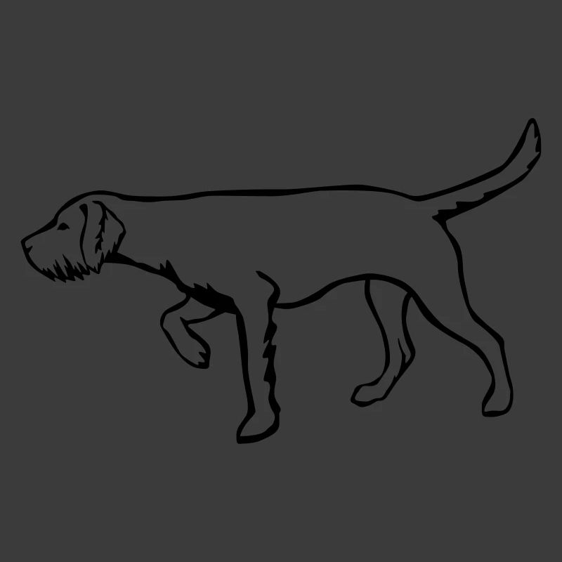 Magyar Vizsla