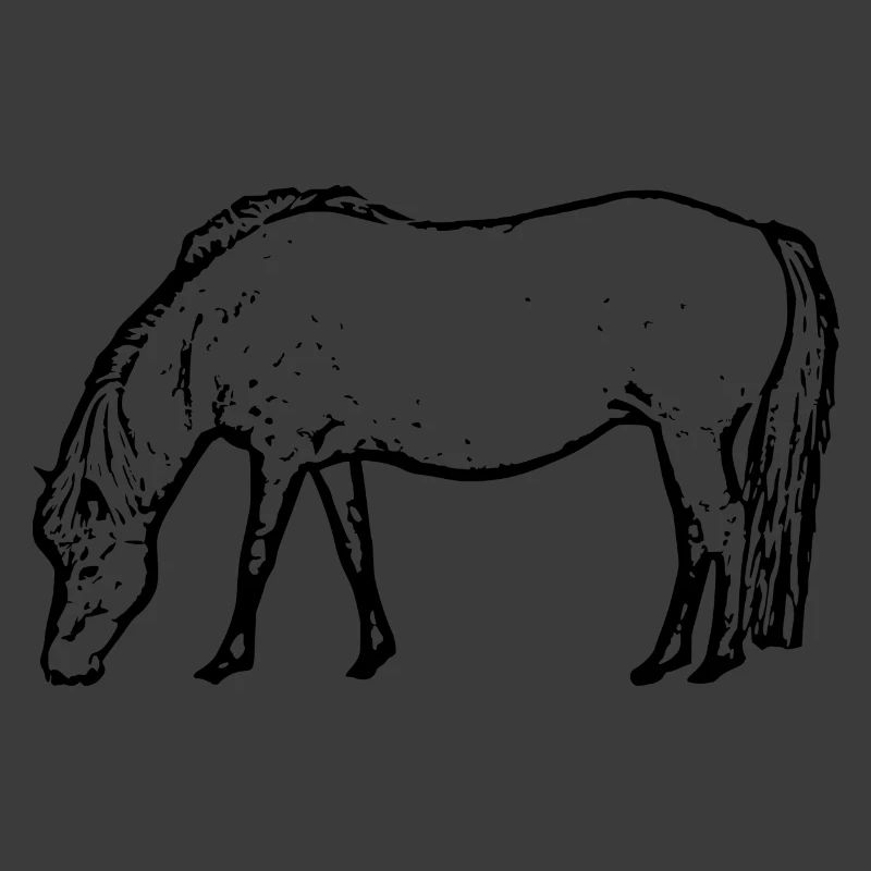 Cheval noir