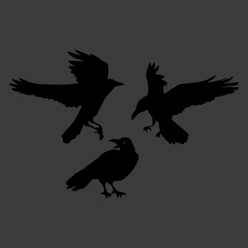 Three raven crows