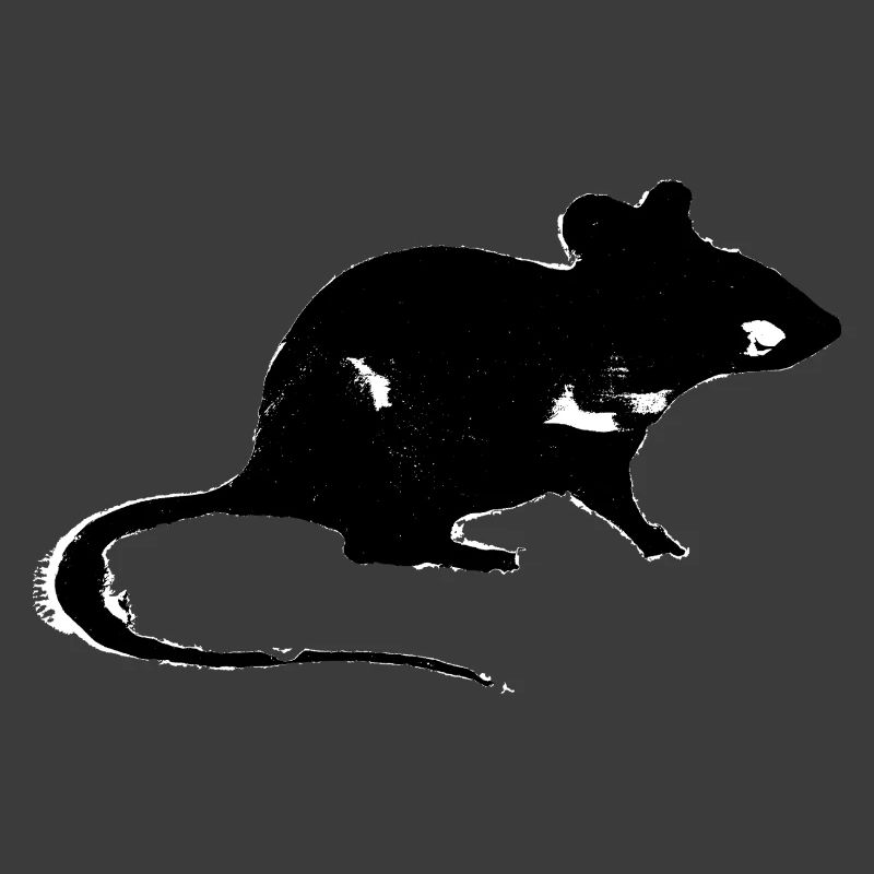Ratte