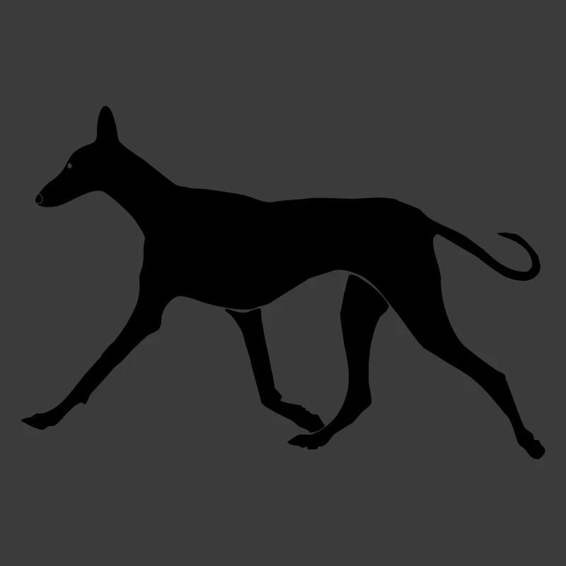 Laufender Podenco