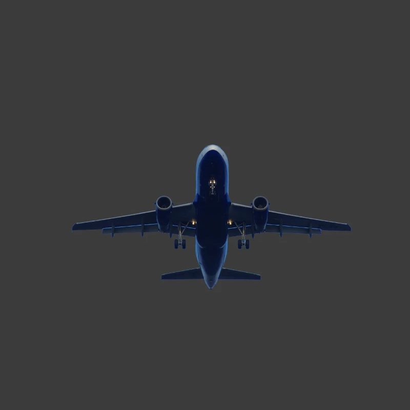 Flugzeug
