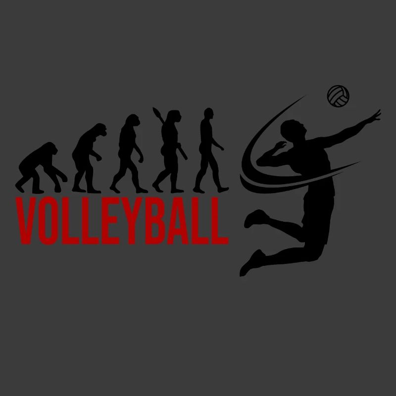 Evolution Volleyball