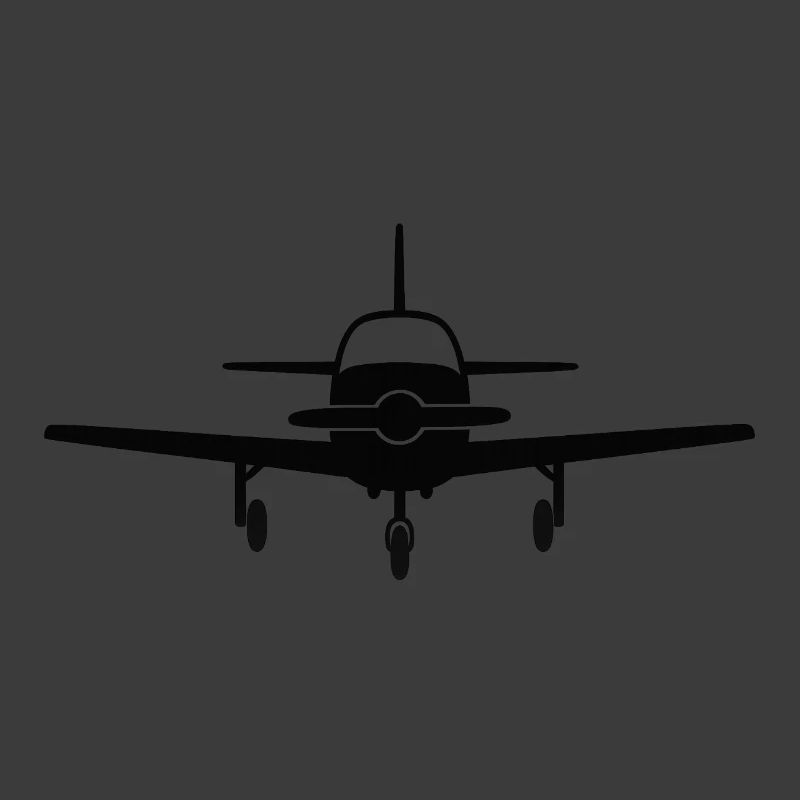 Frontale Flugzeug Silhouette