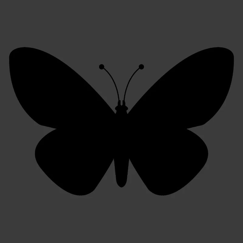 Schmetterling