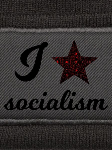 Der Sozialismus