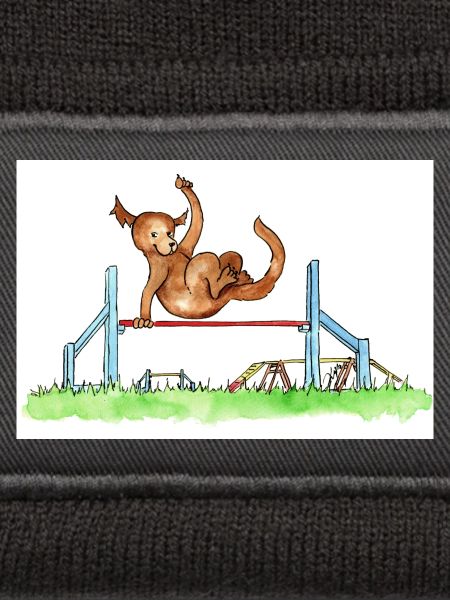 Agility Hürde