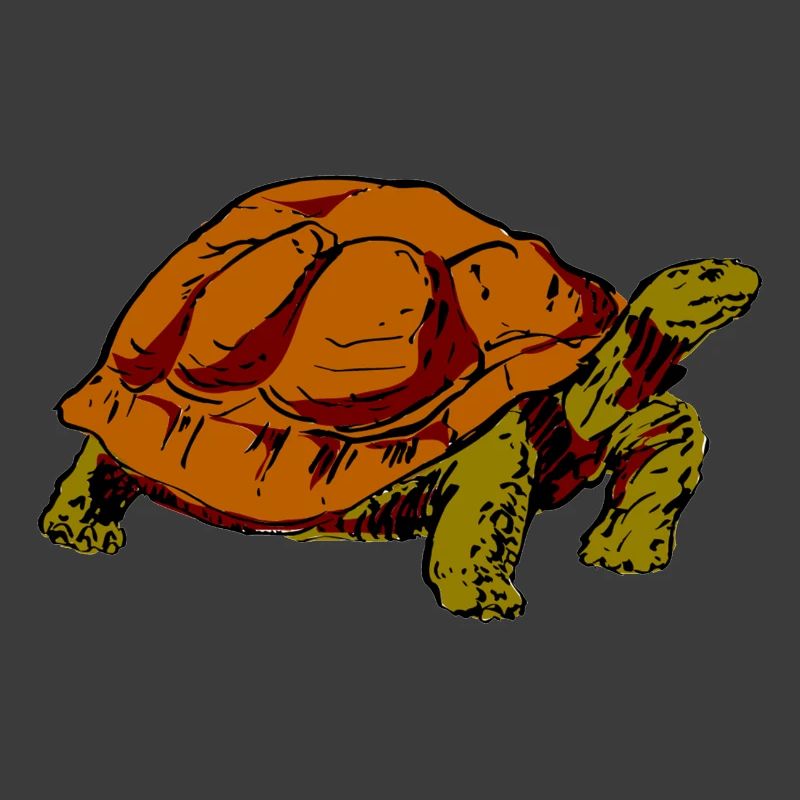 Schildkröte