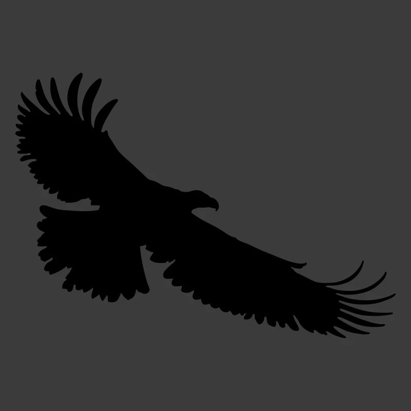 aigle