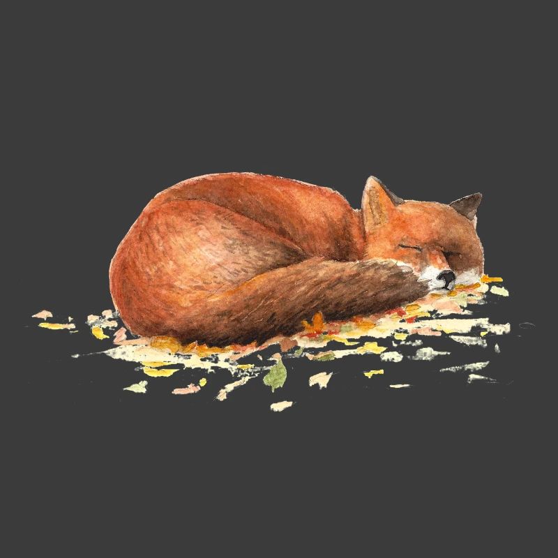 Fuchs