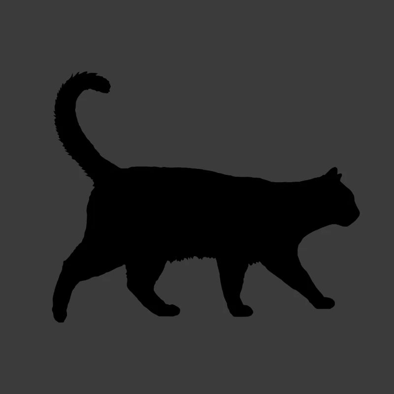 Katze