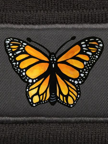 Monarch-Sonnenuntergangsschmetterling