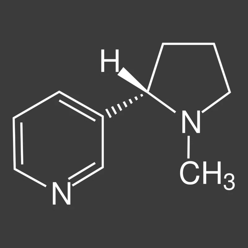 Nicotine structural formula