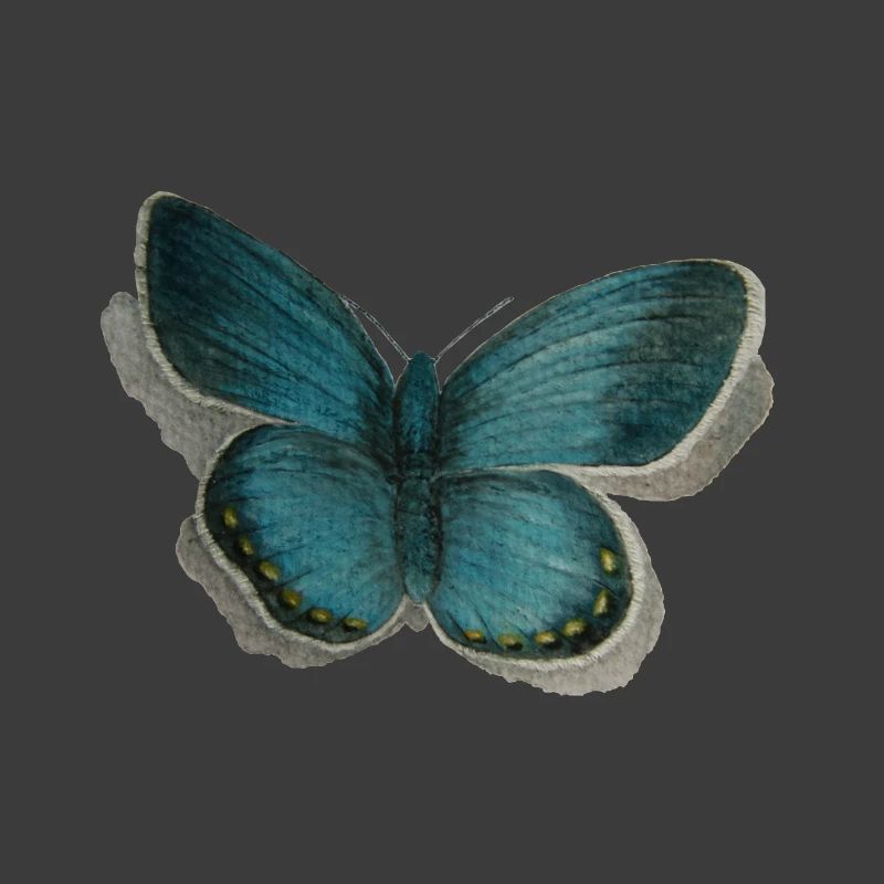 papillon