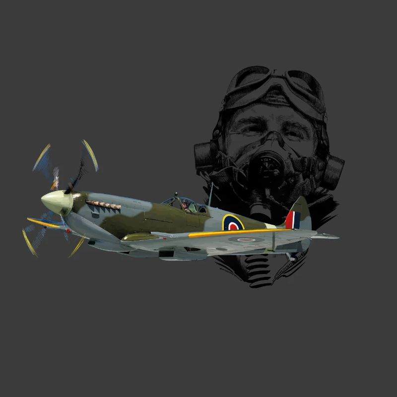 Pilot spitfire