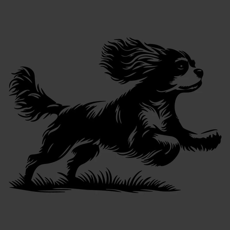 Cavalier King Charles Spaniel