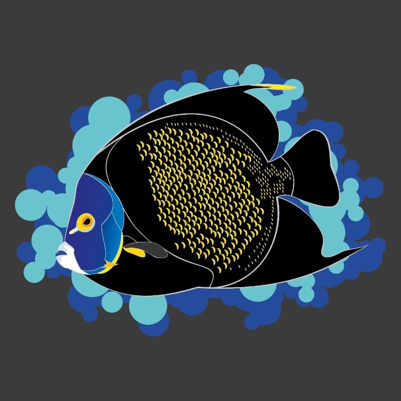 Kaiserfisch – Pomacanthus paru